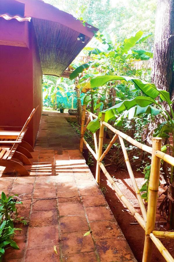 Hotel Casa Mapache Tamarindo Exterior foto