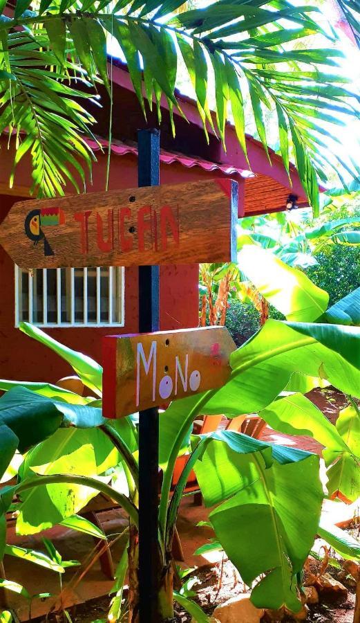Hotel Casa Mapache Tamarindo Exterior foto