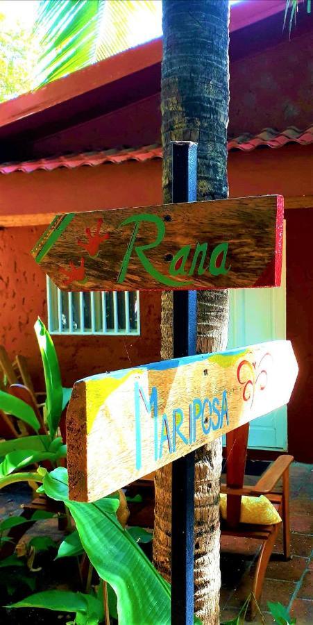 Hotel Casa Mapache Tamarindo Exterior foto