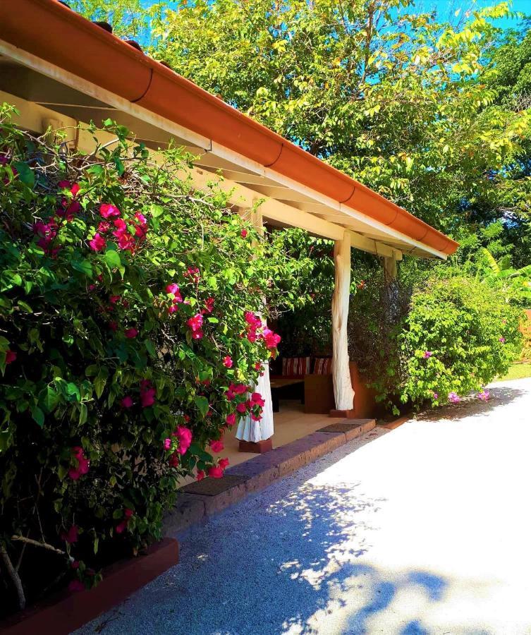 Hotel Casa Mapache Tamarindo Exterior foto